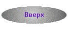Вверх